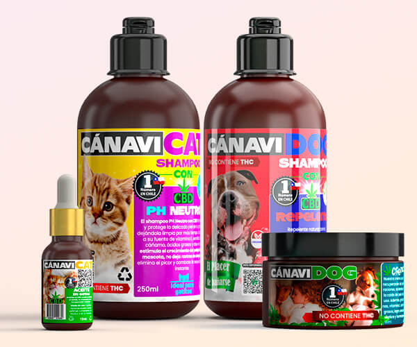 shampoos CBD